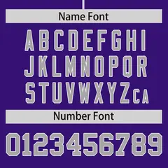 Purple Gray Phonetic Rhythm Authentic Baseball Jersey 4