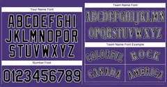 Purple Gray-White Classic Authentic Baseball Jersey 3