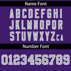 Purple Light Gray Gradient Ribbed Authentic Baseball Jersey 4