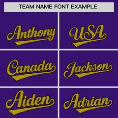 Purple Old Gold Baroque Style Baseball Jersey 3