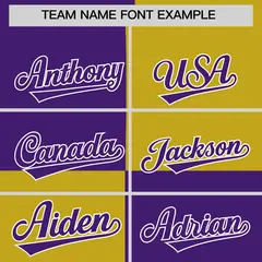 Purple Old Gold Four Squares Color Block Varsity Letterman Hoodie 5