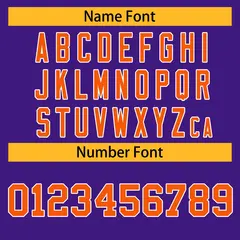 Purple Orange-White Classic Hockey Jersey 4