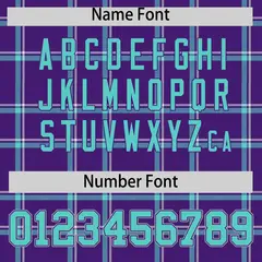 Purple Plaid Authentic Baseball Jersey 4