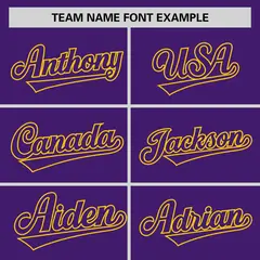 Purple Purple-Gold Raglan Sleeves Authentic Baseball Jersey 3