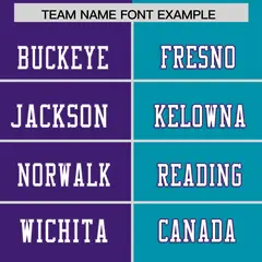 Purple Sky Blue Split Two Tone Authentic Football Jersey 3