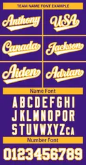 Purple White-Gold Classic Hockey Jersey 3