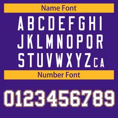 Purple White Purple-Gold Classic Style Hockey Jersey 4