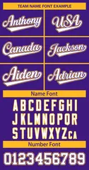 Purple White Purple-Gold Classic Style Hockey Jersey 3