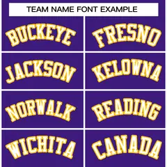 Purple White-Purple Varsity Full-Snap Letterman Jacket 3