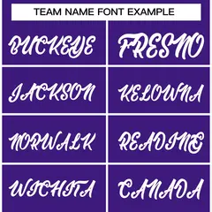 Purple White Raglan Varsity Full-Snap Letterman Jacket 5