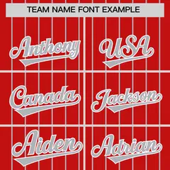 Red Gray Pinstripe Two-Tone Authentic Baseball Jersey 3