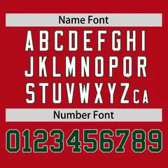 Red Green Raglan Sleeves Authentic Baseball Jersey 4