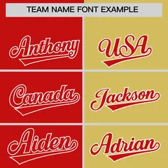 Red Old Gold Four Squares Performance Polo Shirt 3
