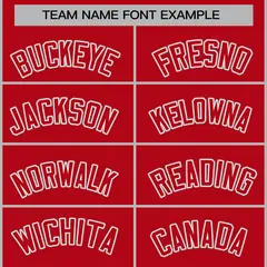 Red Red-Gray Classic Varsity Full-Snap Letterman Jacket 5