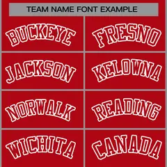 Red Red-White Raglan Sleeves Varsity Full-Snap Letterman Jacket 5