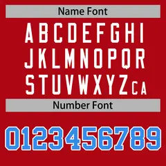 Red Red-White Raglan Sleeves Varsity Full-Snap Letterman Jacket 6