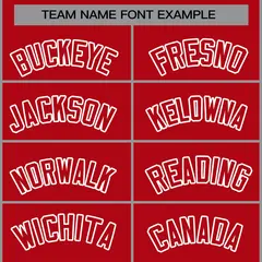 Red Red-White Raglan Sleeves Varsity Full-Snap Letterman Jacket 5