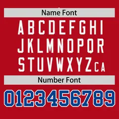Red Royal-White Stripe Raglan Baseball Jersey 4