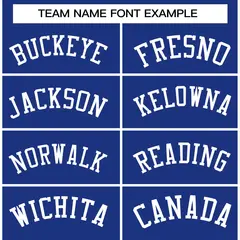 Royal and White Raglan Varsity Full-Snap Letterman Jacket 3