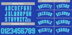 Royal Aqua-White Stripe Authentic Fashion Baseball Jersey 3