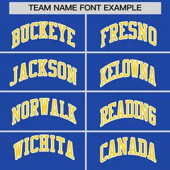 Royal Blue Yellow Faux Leather Letterman Jacket Raglan Full-Snap 3