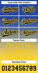Royal Gold Black-Gold Gradient Two-Button Softball Jersey 3