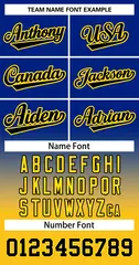 Royal Gold Black-Gold Gradient Two-Button Softball Jersey 3