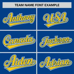 Royal Gold Half Stripe Authentic Baseball Jersey 3