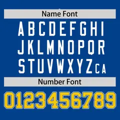Royal Gold Raglan Round-Neck Hockey Jersey 4