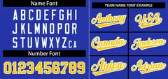 Royal Gold-White Stripe Raglan Baseball Jersey 3