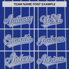 Royal Gray Pinstripe Two-tone Authentic Baseball Jersey 3