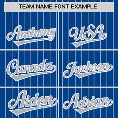 Royal Gray Pinstripe Two-Tone Authentic Baseball Jersey 3