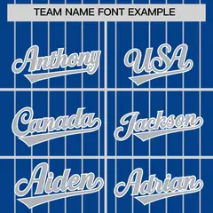 Royal Gray Pinstripe Two-Tone Authentic Baseball Jersey 3