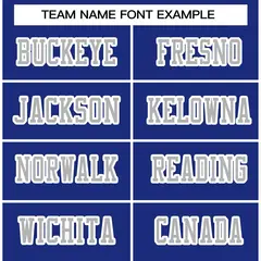 Royal Gray-White Classic Style Authentic Football Jersey 3