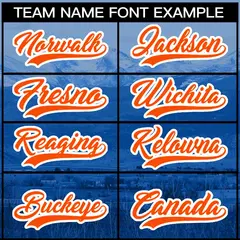 Royal Orange-White Denver City Skyline Baseball Jersey 3