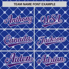 Royal Purple-White Plaid Authentic Baseball Jersey 3