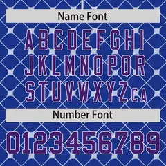 Royal Purple-White Plaid Authentic Baseball Jersey 4