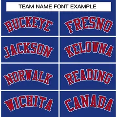 Royal Red Raglan Varsity Full-Snap Letterman Jacket 3