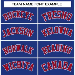 Royal Red Raglan Varsity Full-Snap Letterman Jacket 5