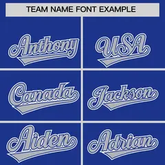 Royal Silver Contrast Raglan Baseball Jersey 3