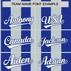 Royal Silver Stripe Two-Button Softball Jersey 3