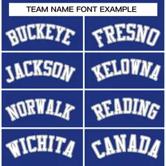 Royal White-Gray Classic Varsity Full-Snap Letterman Jacket 5