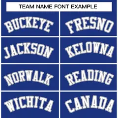 Royal White-Gray Raglan Varsity Full-Snap Letterman Jacket 3