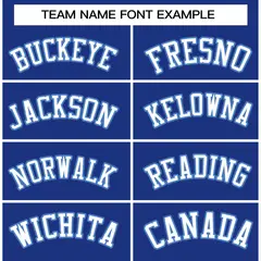 Royal White-Powder Blue Raglan Varsity Full-Snap Letterman Jacket 3