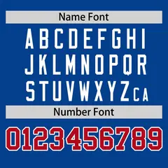 Royal White Stripe Raglan Sleeves Authentic Baseball Jersey 4