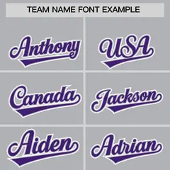 Silver Purple Contrast Raglan Baseball Jersey 3