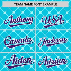 Sky Blue Purple-White Plaid Authentic Baseball Jersey 3