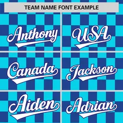 Sky Blue Royal Plaid Fashion Authentic Baseball Jersey 3