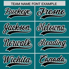 Teal Black Team Baseball Jersey Pants Hat Package 3