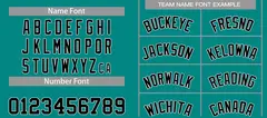 Teal Black-White Bull Classic Sets Basketball Jersey 4